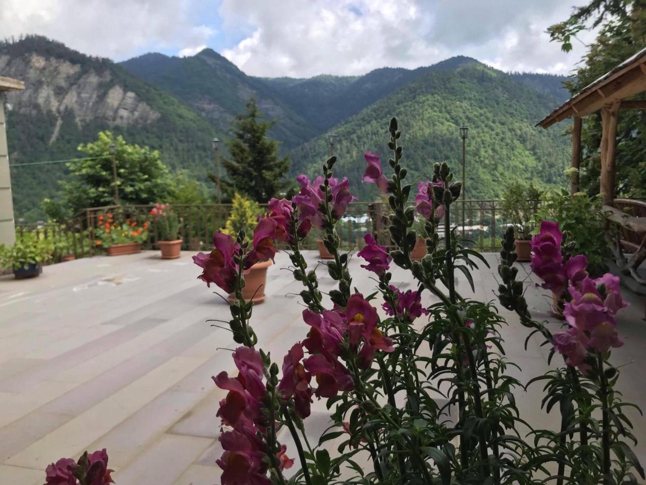 Anano'S Guesthouse Borjomi Esterno foto
