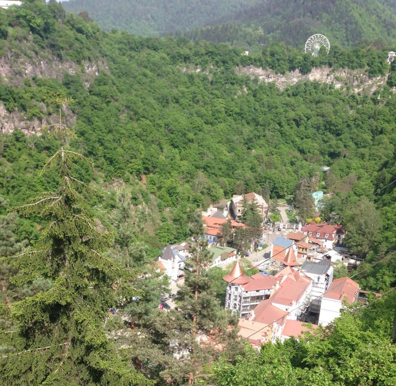 Anano'S Guesthouse Borjomi Esterno foto