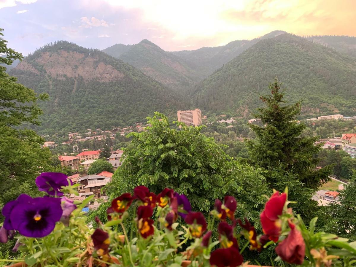 Anano'S Guesthouse Borjomi Esterno foto